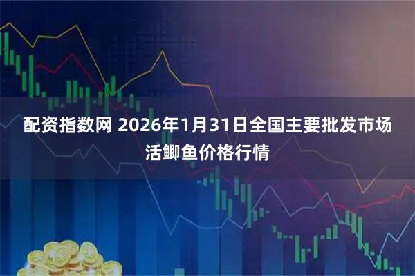 配资指数网 2026年1月31日全国主要批发市场活鲫鱼价格行情