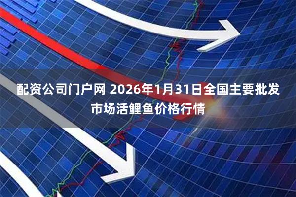 配资公司门户网 2026年1月31日全国主要批发市场活鲤鱼价格行情