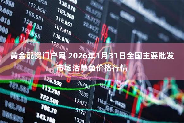 黄金配资门户网 2026年1月31日全国主要批发市场活草鱼价格行情