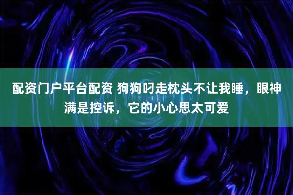 配资门户平台配资 狗狗叼走枕头不让我睡，眼神满是控诉，它的小心思太可爱