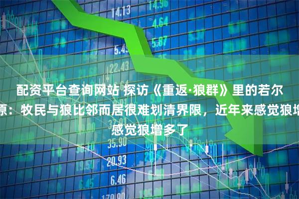 配资平台查询网站 探访《重返·狼群》里的若尔盖草原：牧民与狼比邻而居很难划清界限，近年来感觉狼增多了